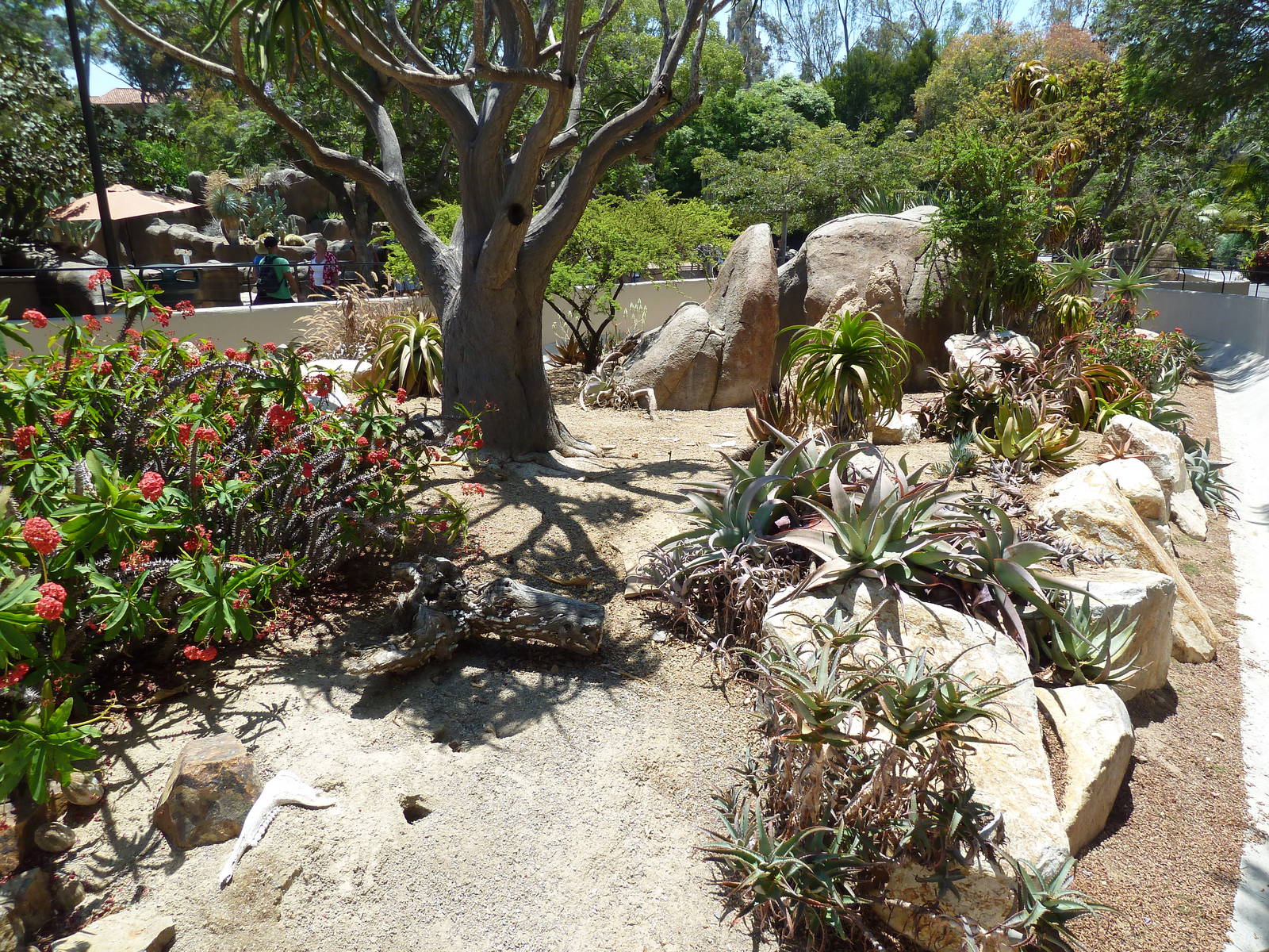 Reptile Exhibit (7 Species)