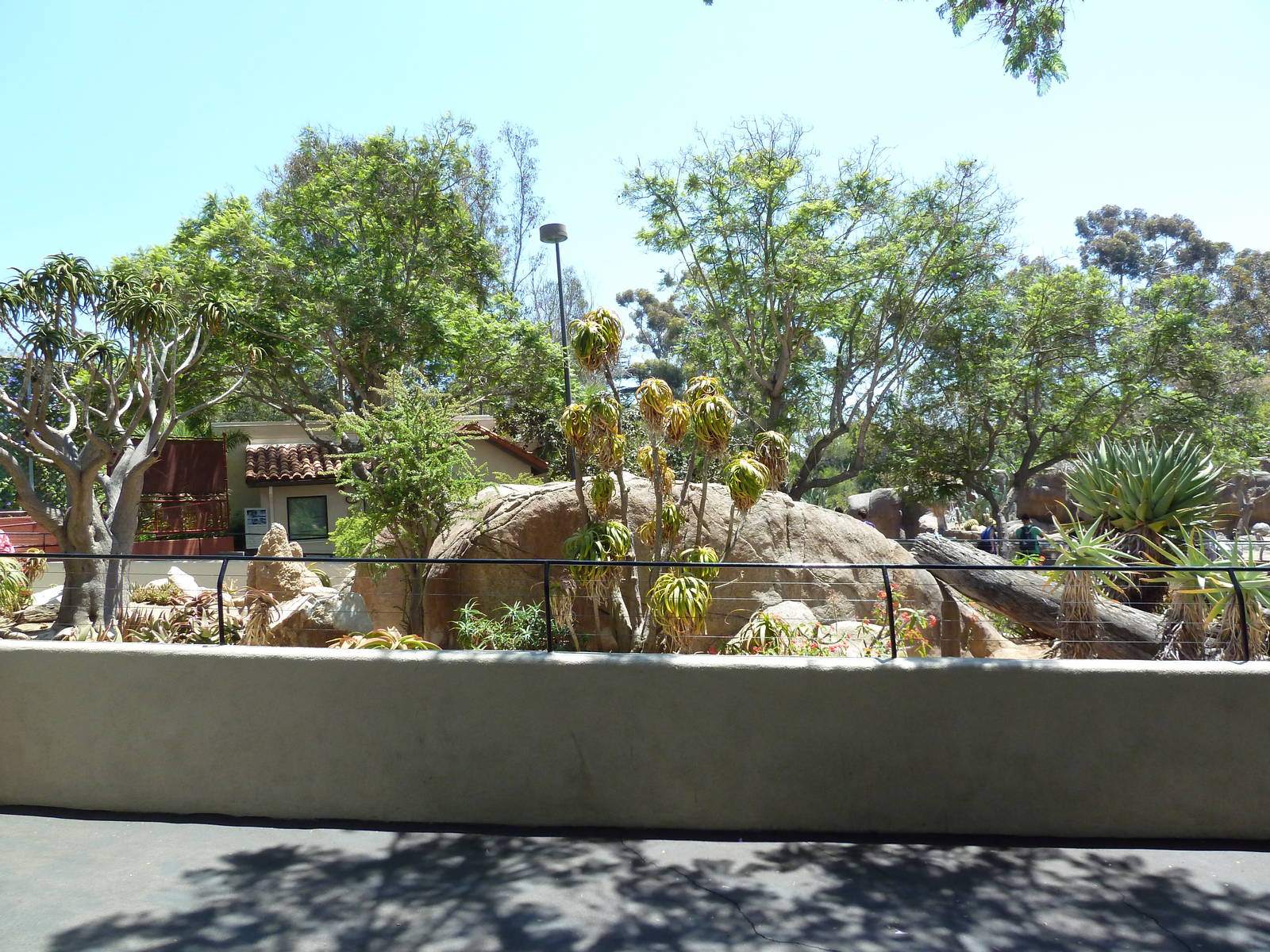 Reptile Exhibit (7 Species)