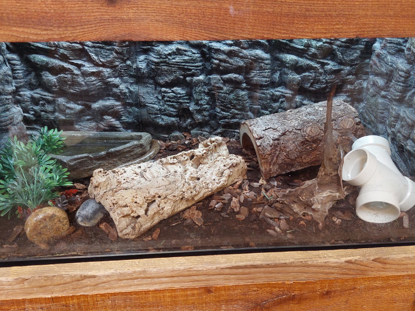 Reptile exhibit example