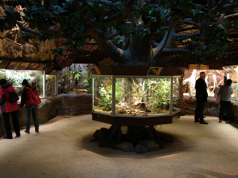 Reptile Exhibit
