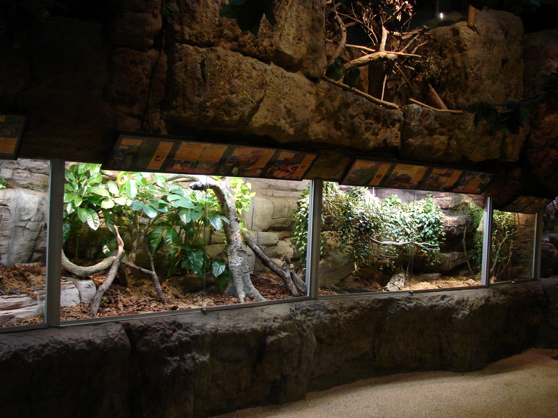 Reptile Exhibit