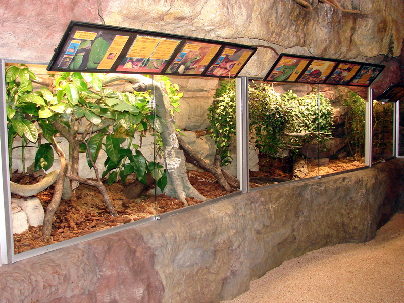 Reptile Exhibit