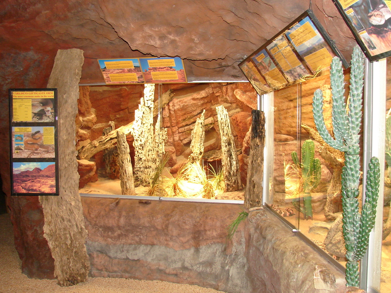 Reptile Exhibit