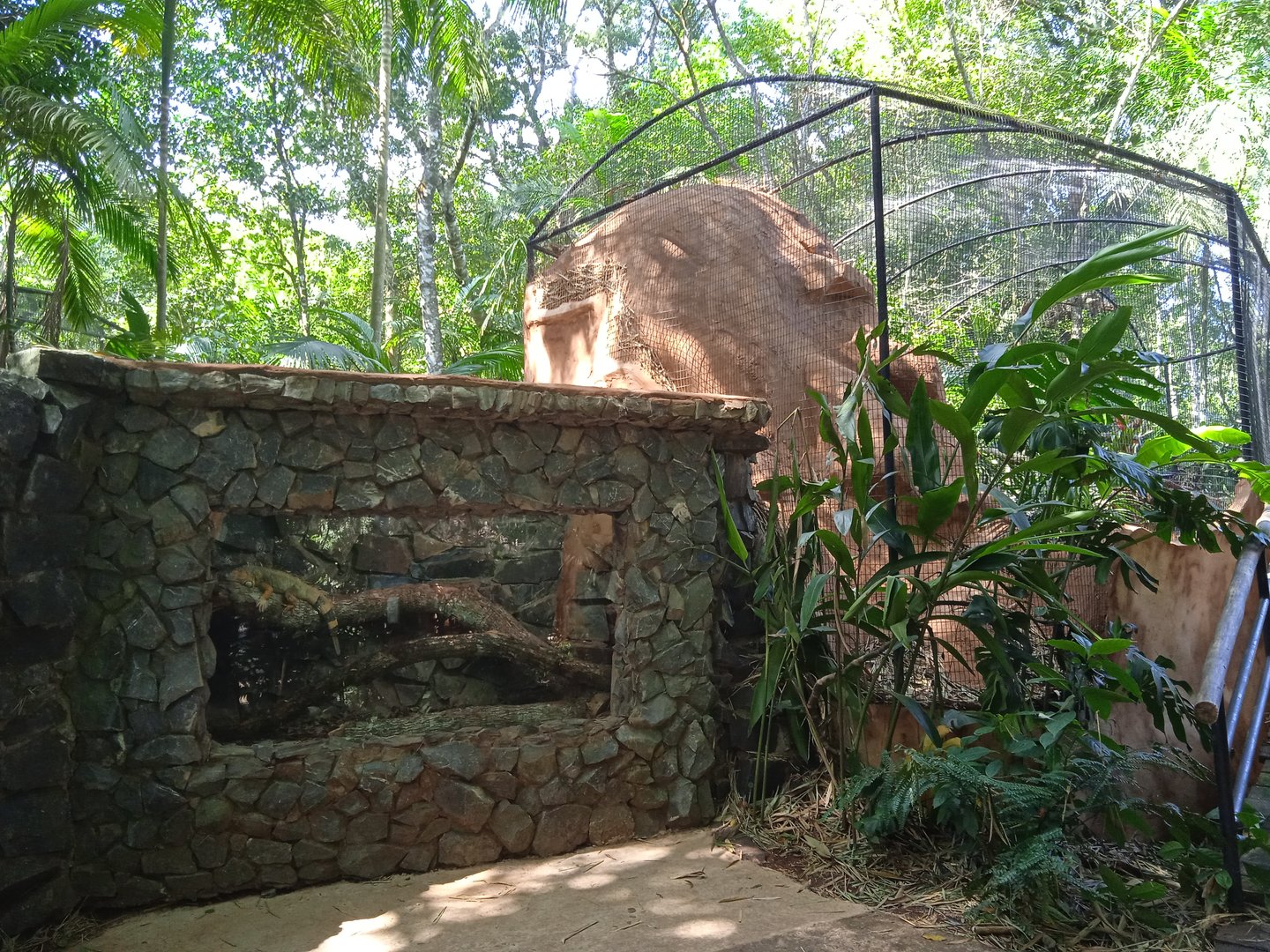 Reptile exhibit