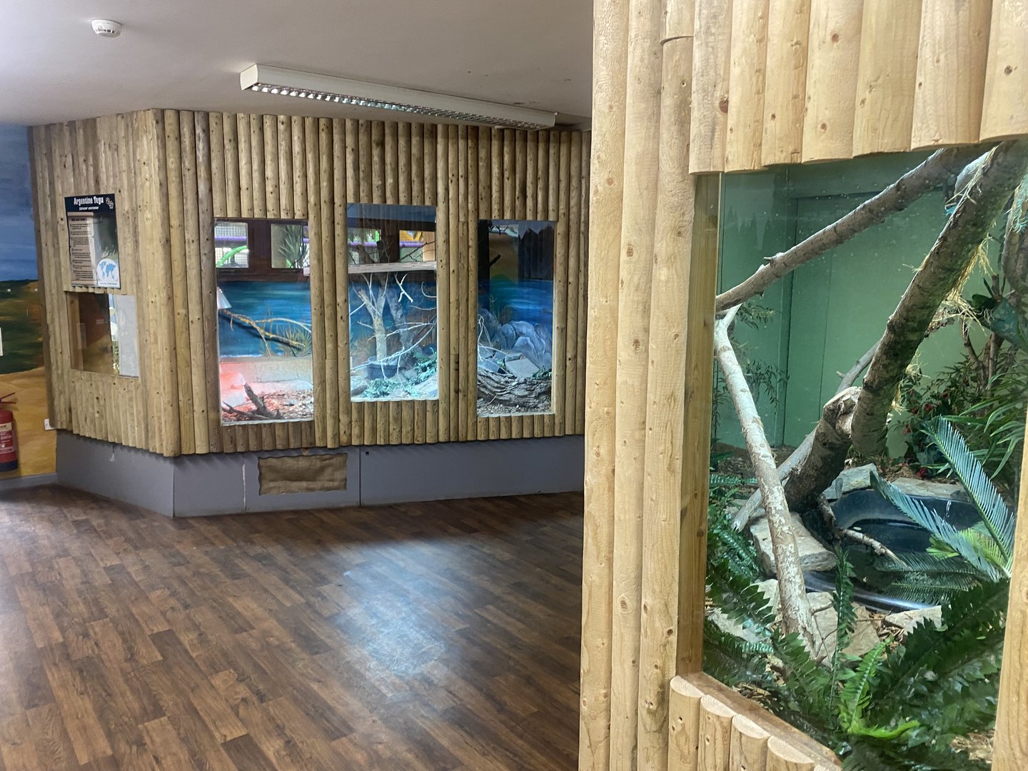 Reptile exhibits 150723