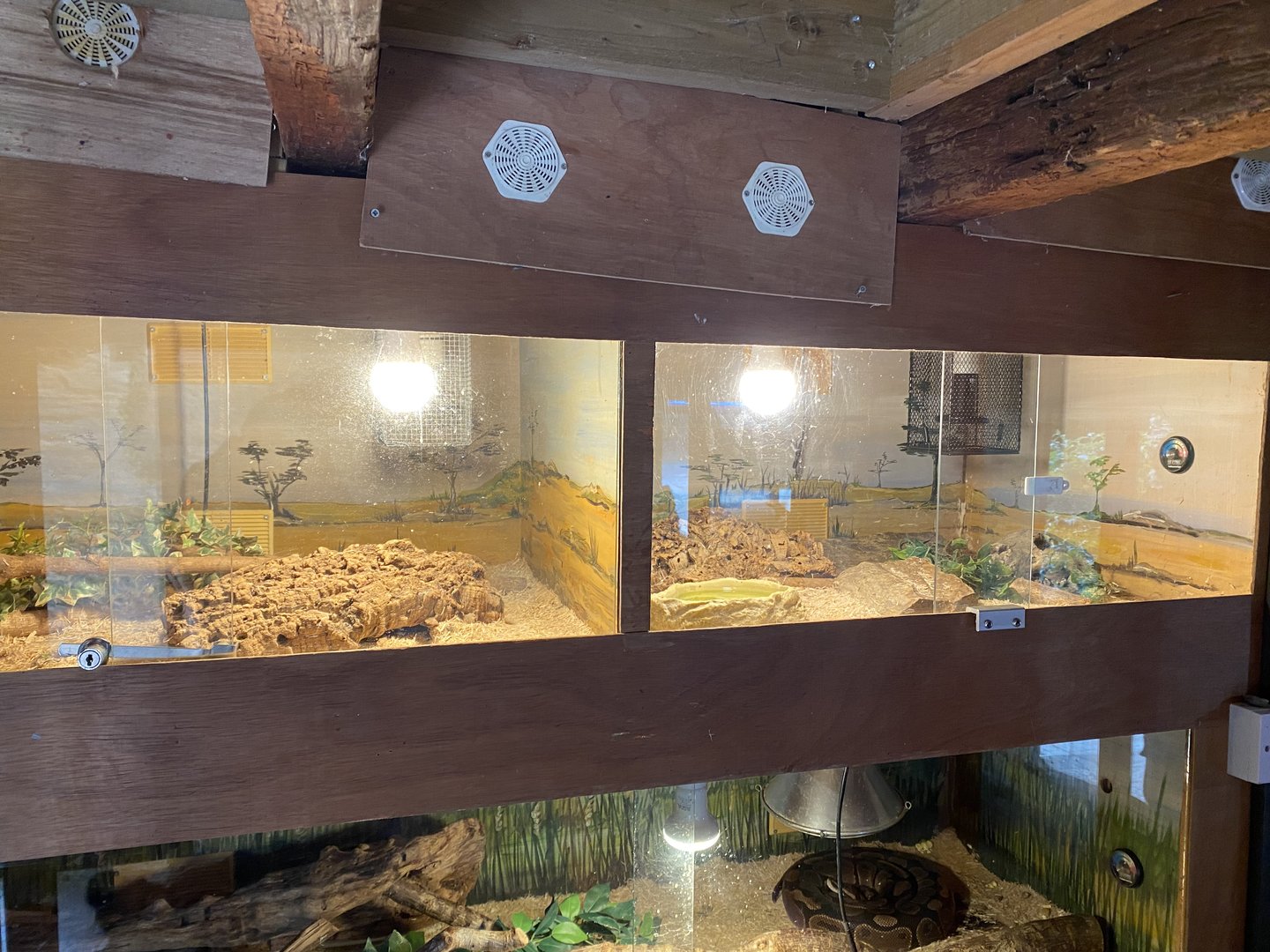 Reptile exhibits 151022