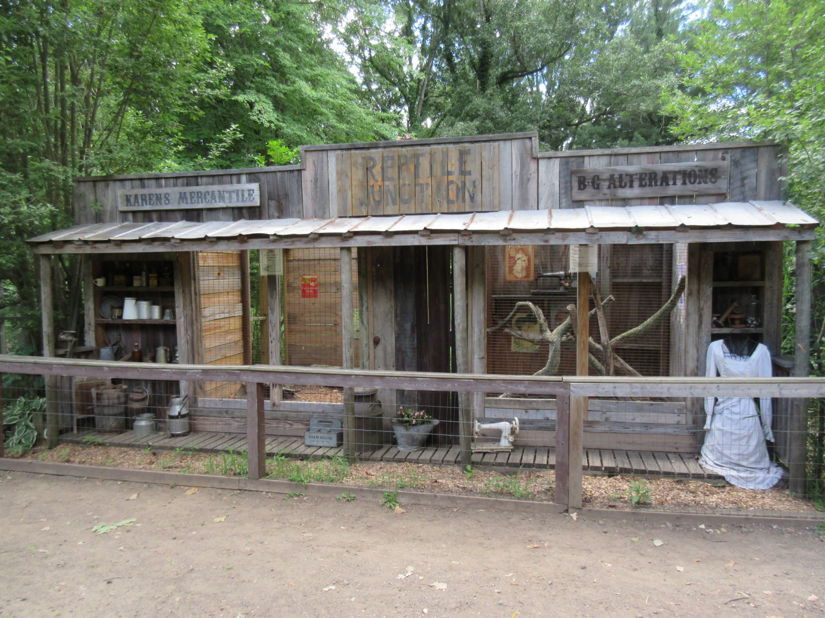 Reptile Exhibits (2 Species)