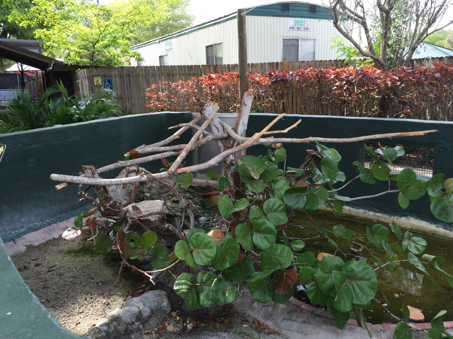 Reptile exhibits (2016)