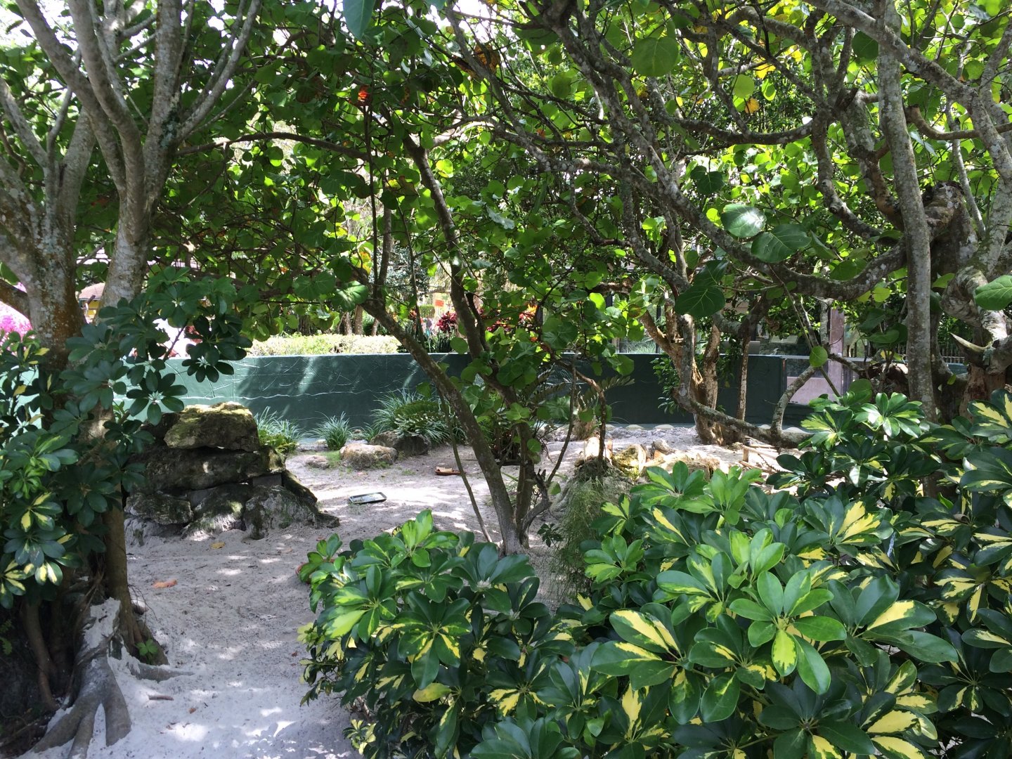 Reptile exhibits (2016)