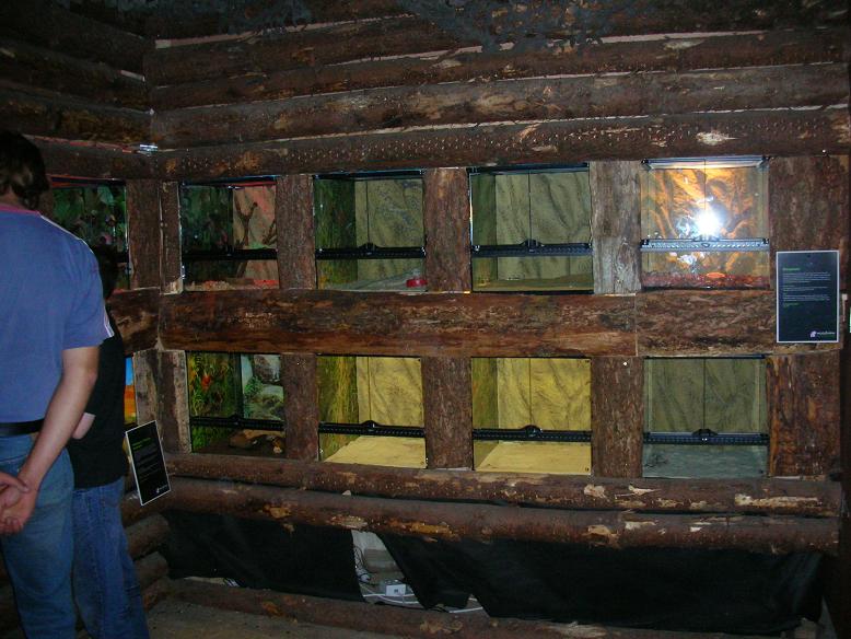 Reptile Exhibits at Land of Little Animals, Omagh.