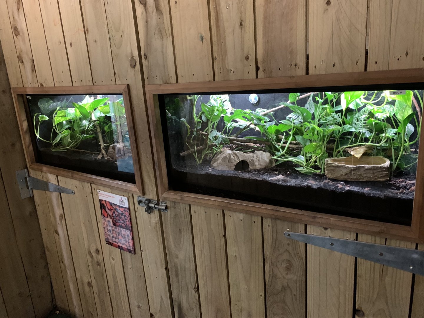 Reptile Exhibits at Northumberland College Zoo (2020)