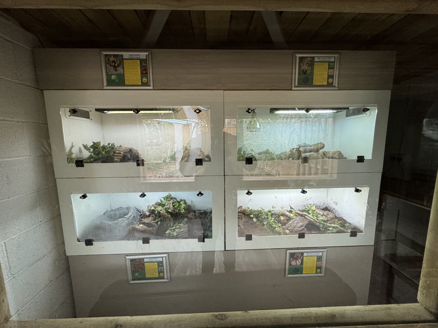 Reptile Exhibits at Woodside Wildlife Park (May 2024)