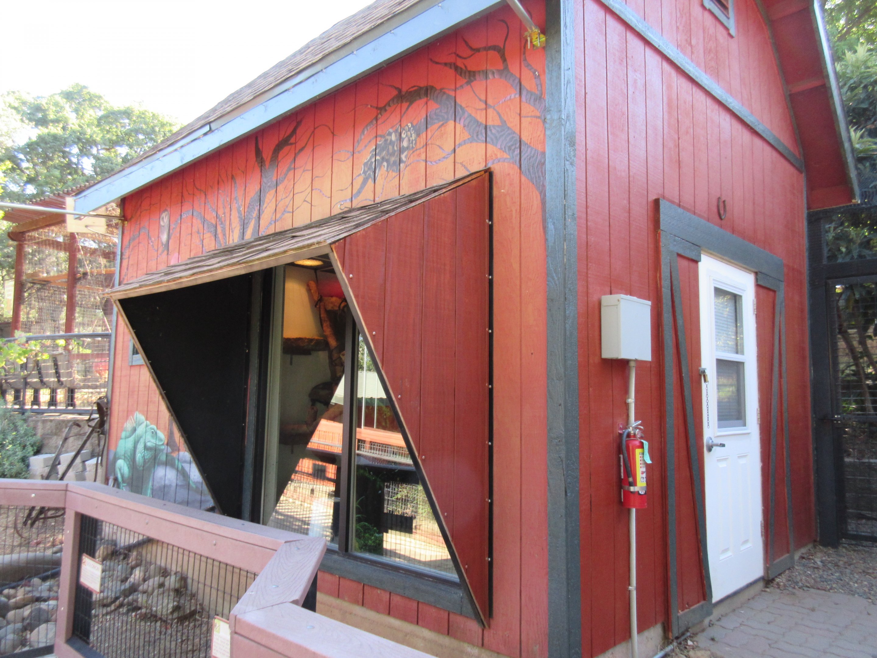 Reptile Exhibits (Ball Python + Prehensile-Tailed Skink)