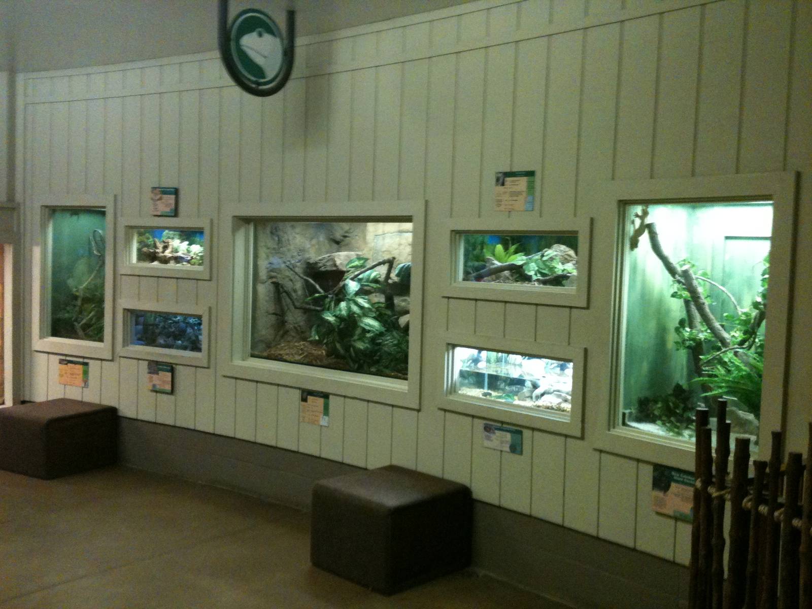 Reptile exhibits in the entry building.