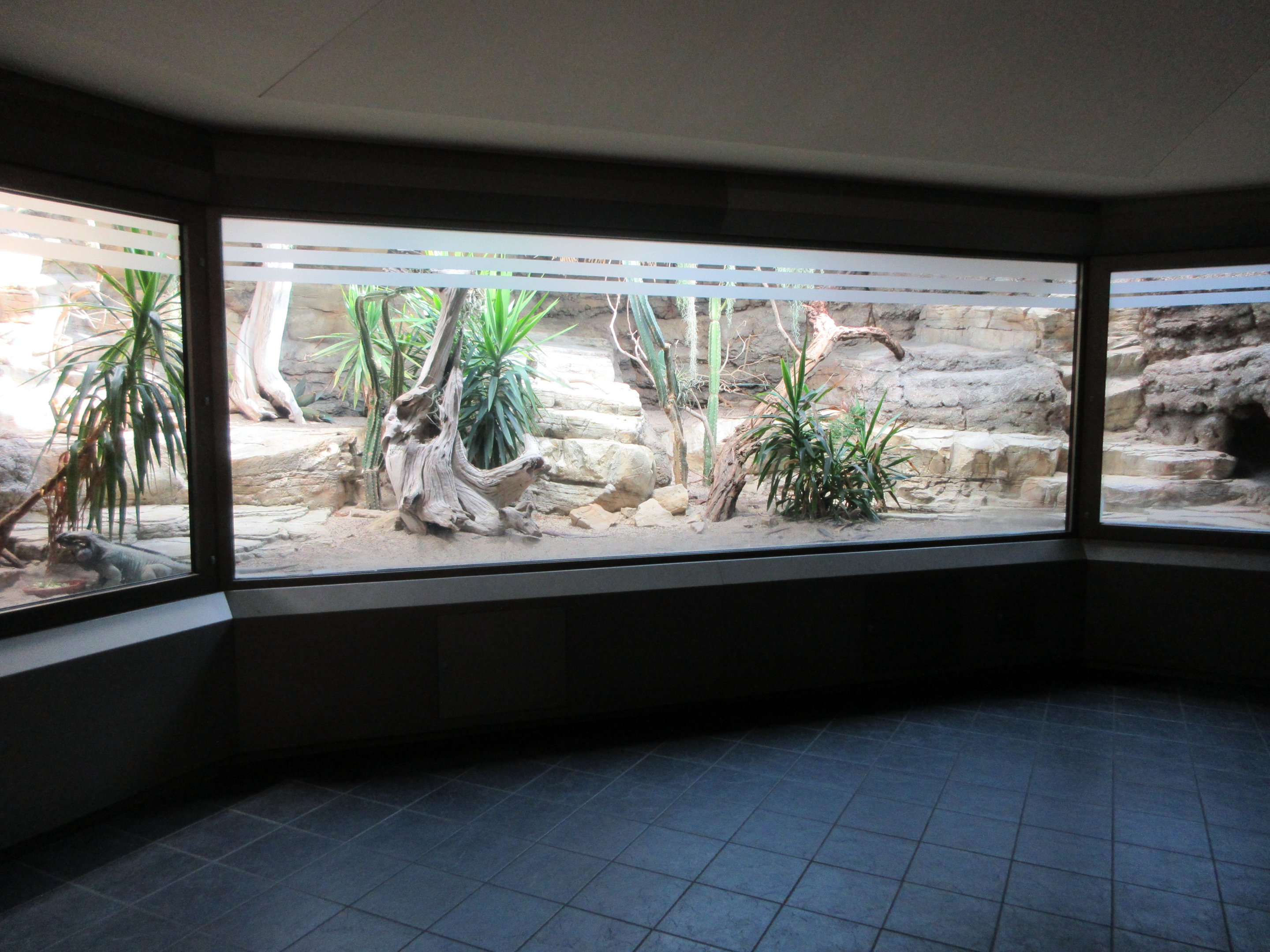 Reptile Exhibits - modernized in 2016