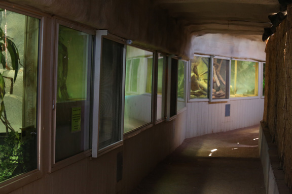 reptile exhibits