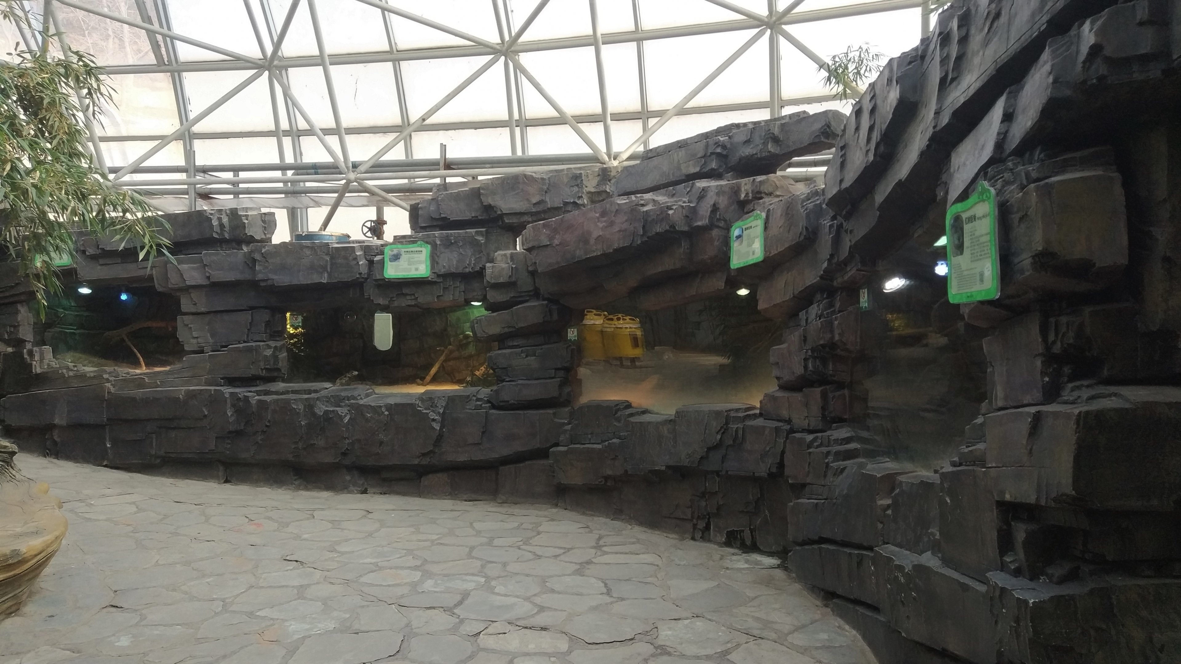 Reptile Exhibits
