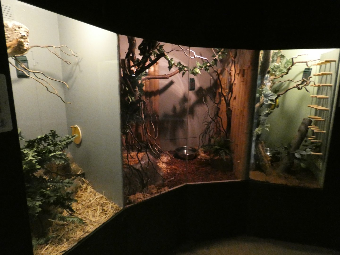 Reptile exhibits