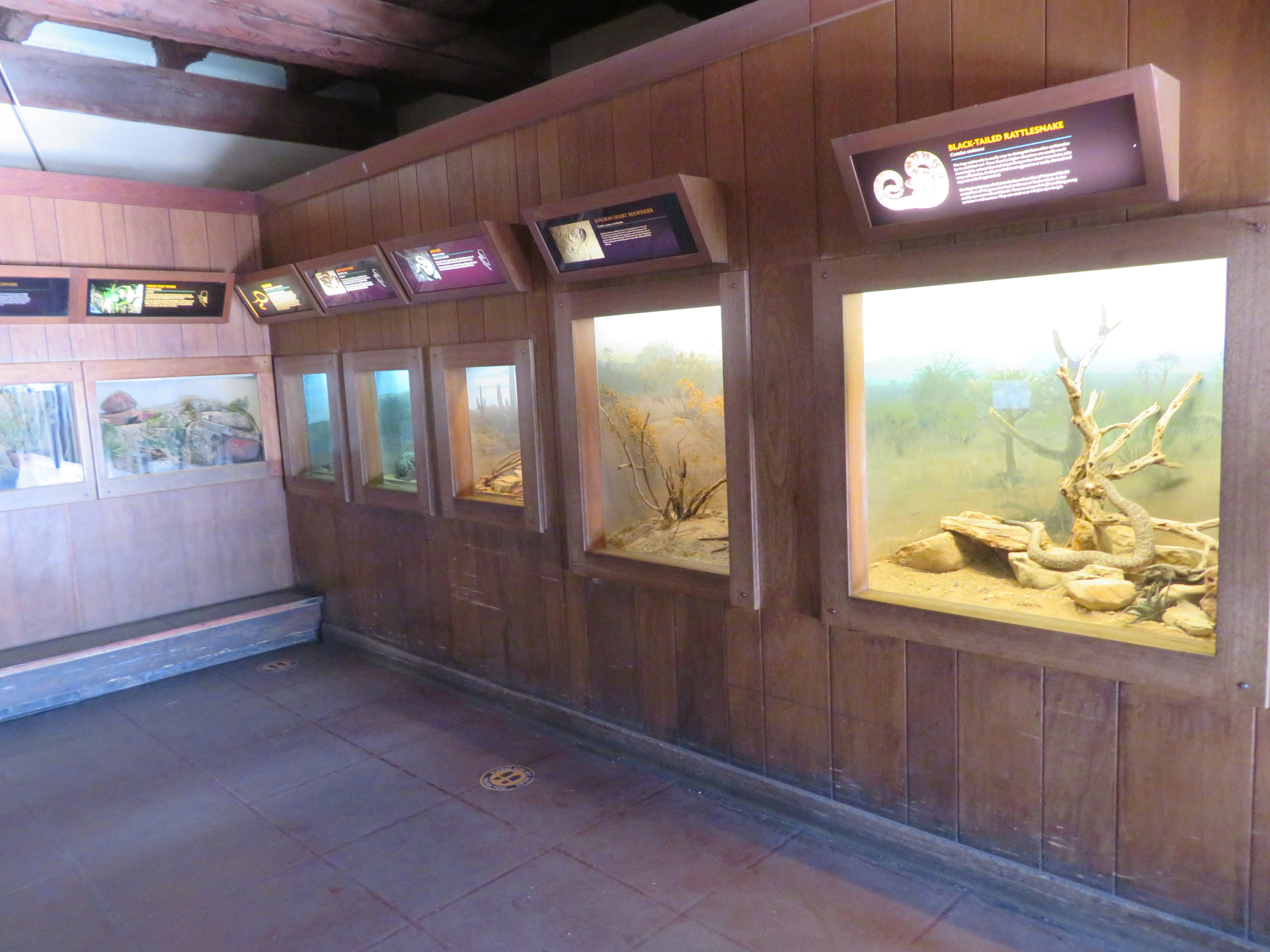 Reptile Exhibits