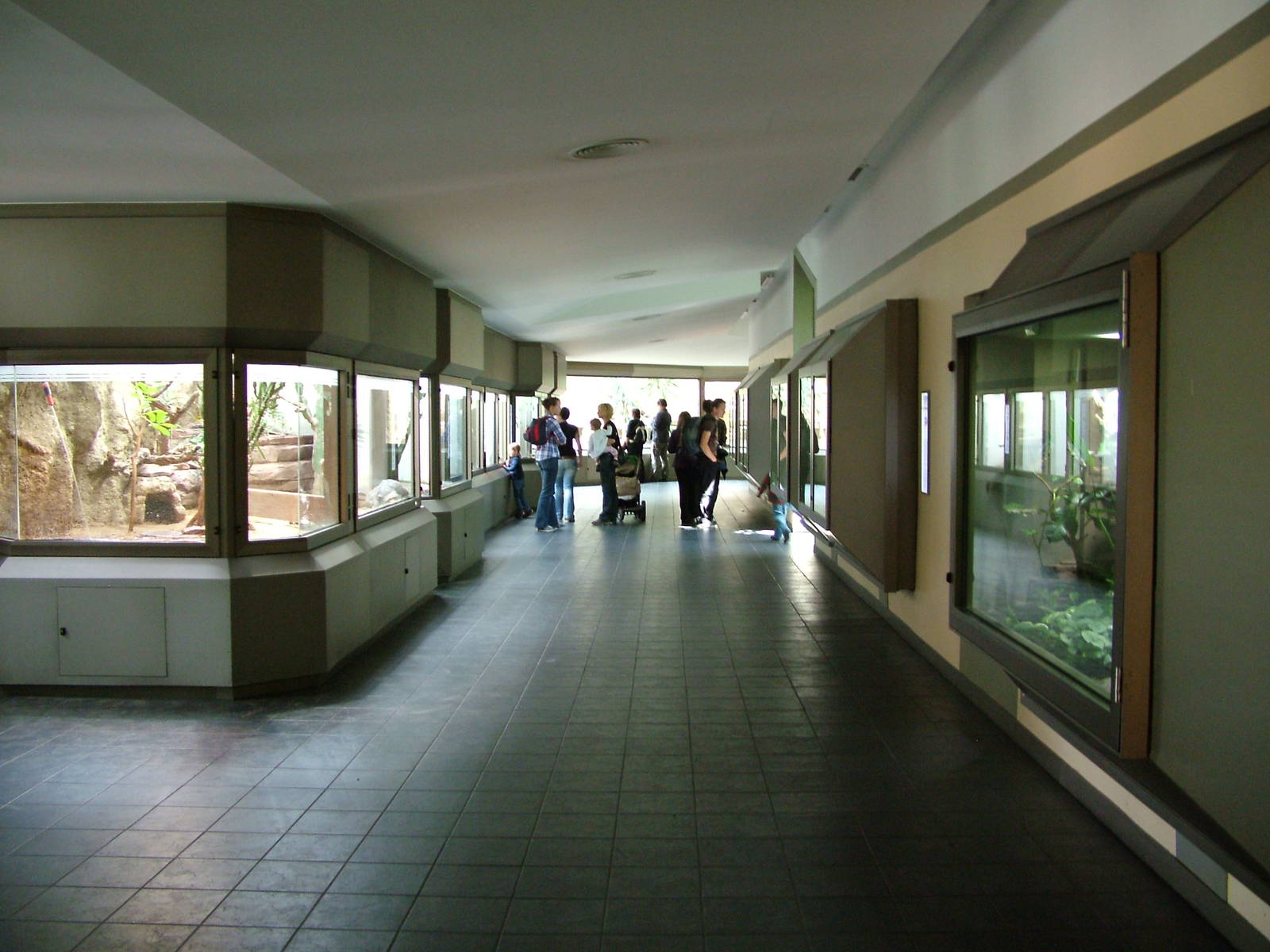 Reptile Floor at Berlin Zoo Aquarium, 31/08/11