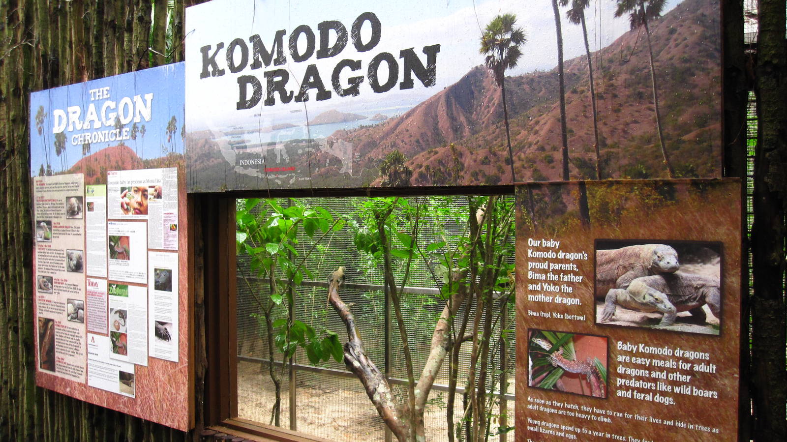 Reptile Garden - Dragon Nursery