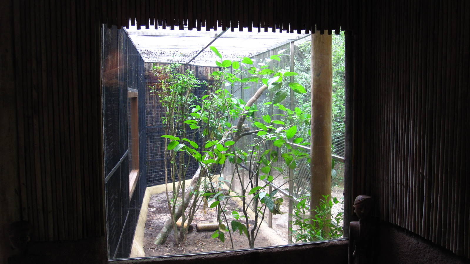 Reptile Garden - Dragon Nursery