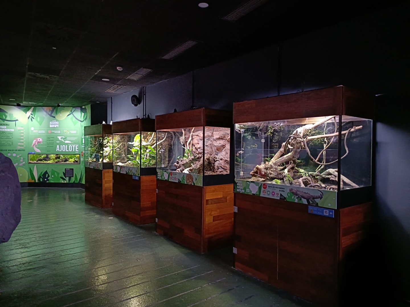 Reptile general view - Bioparc Acuario de Gijón