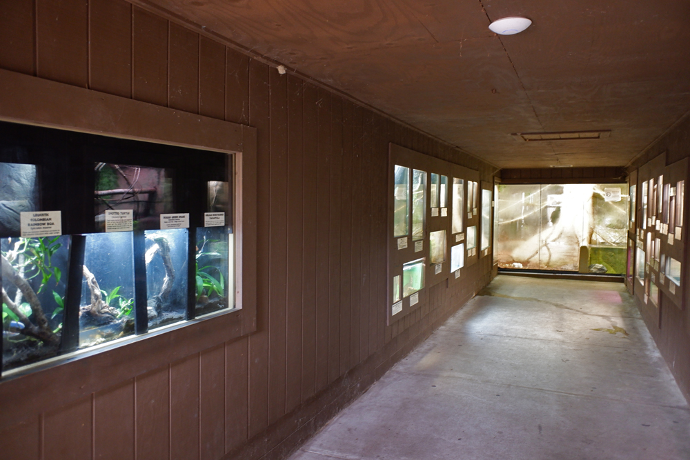 reptile hall (small exhibits)