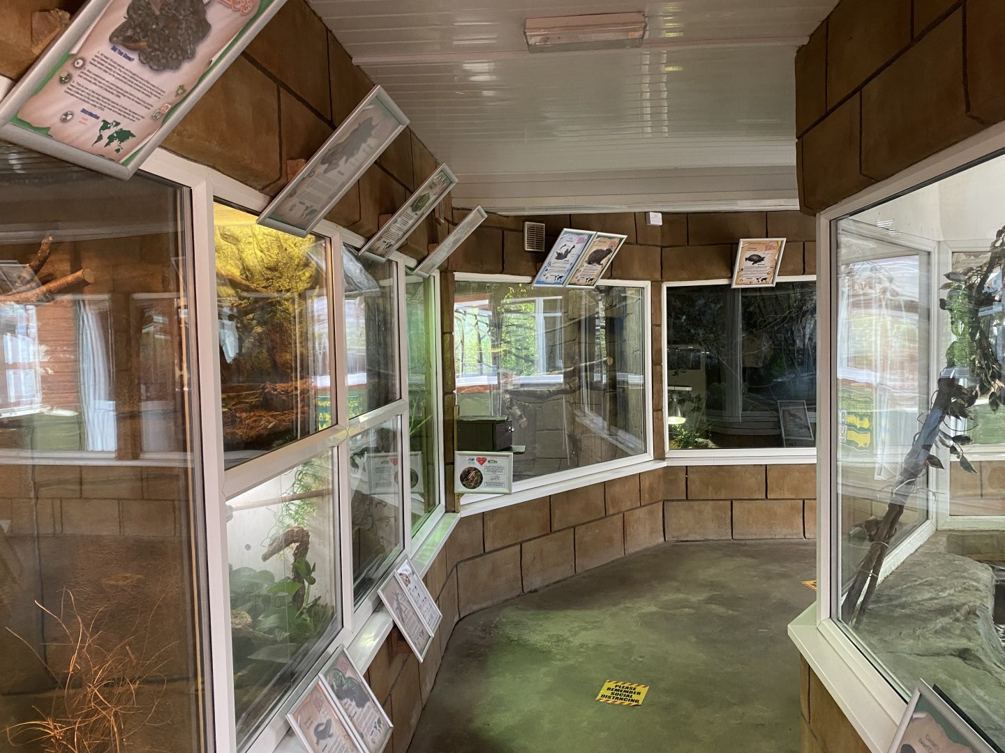 Reptile House 010621