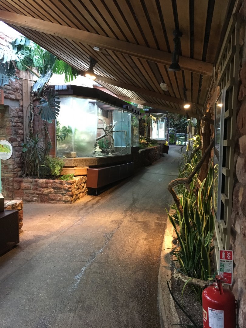 Reptile House 070117