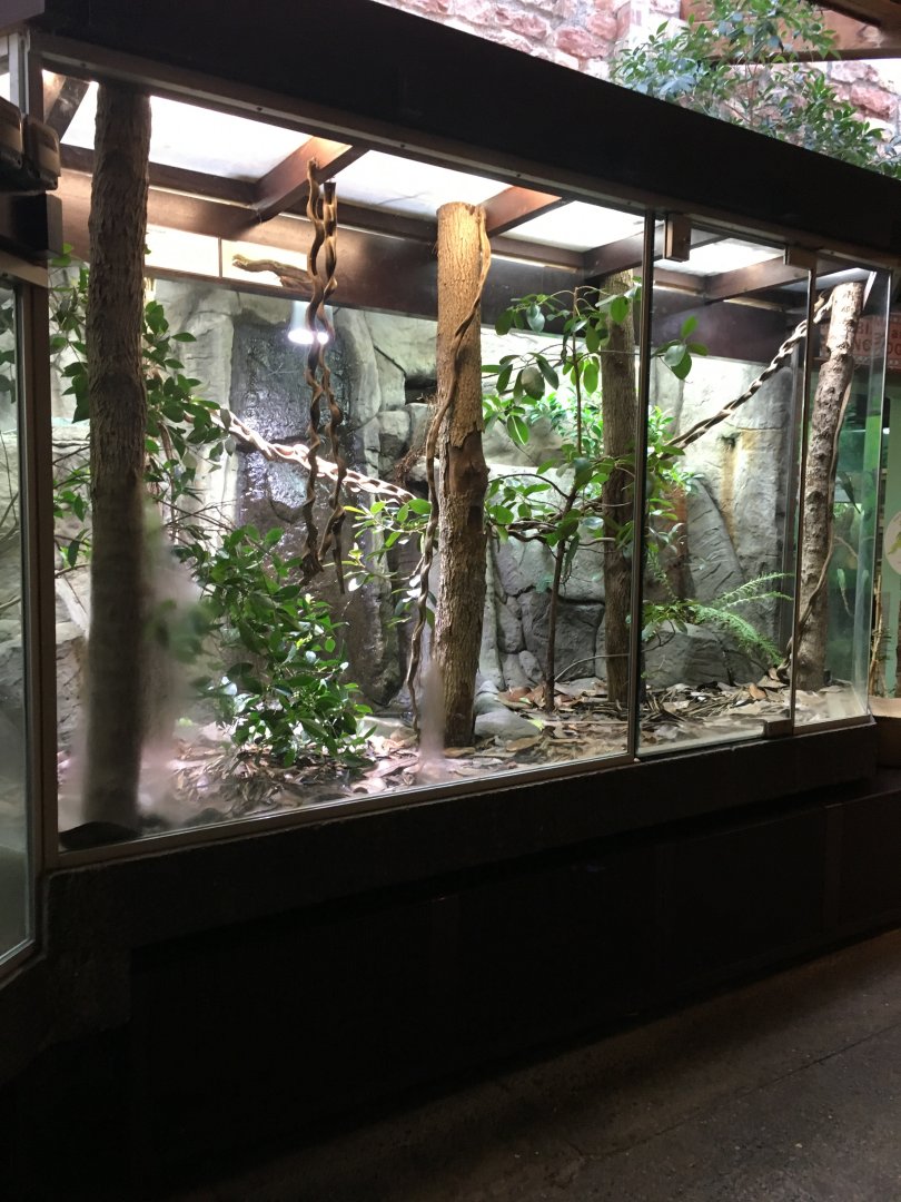 Reptile House 070117