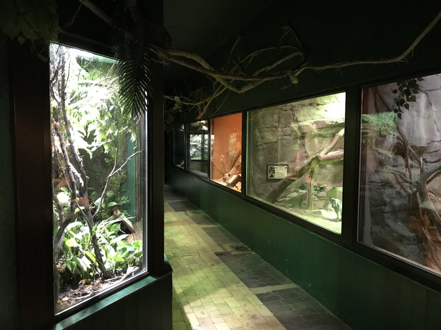 Reptile House 071019