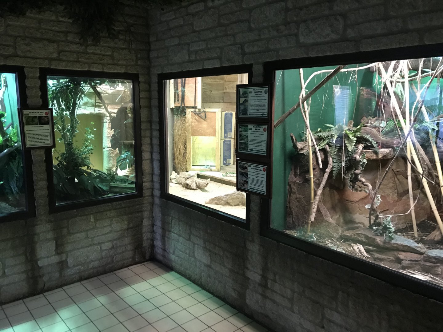 Reptile House 071019