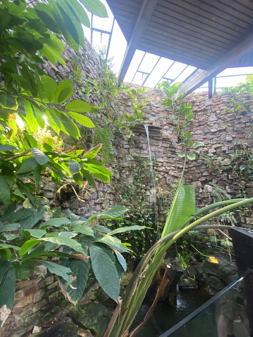 Reptile House 190622