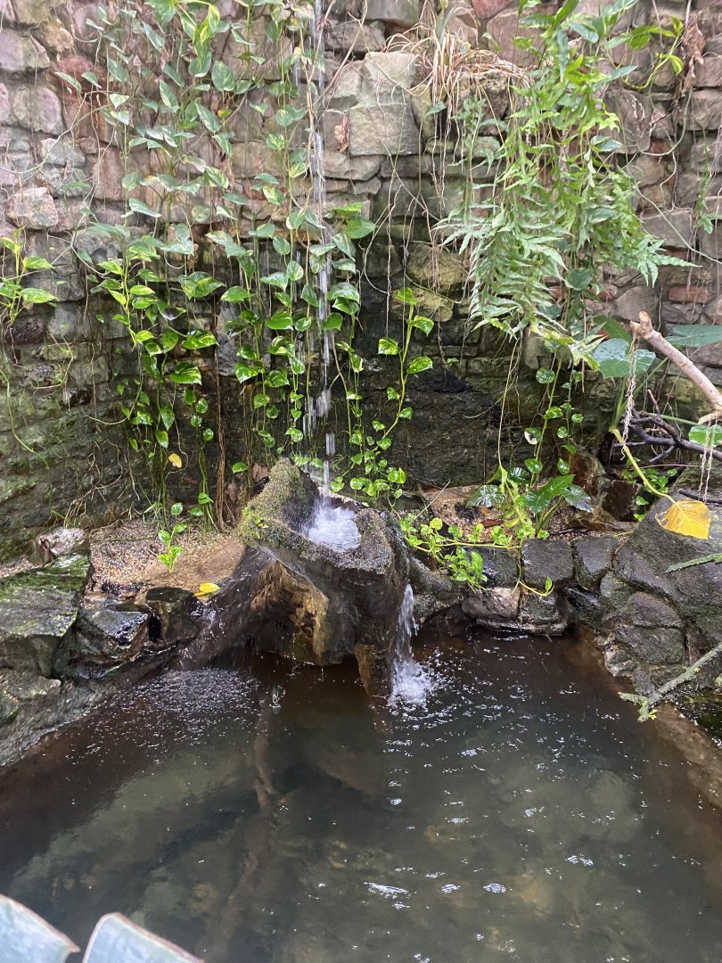 Reptile House 190622