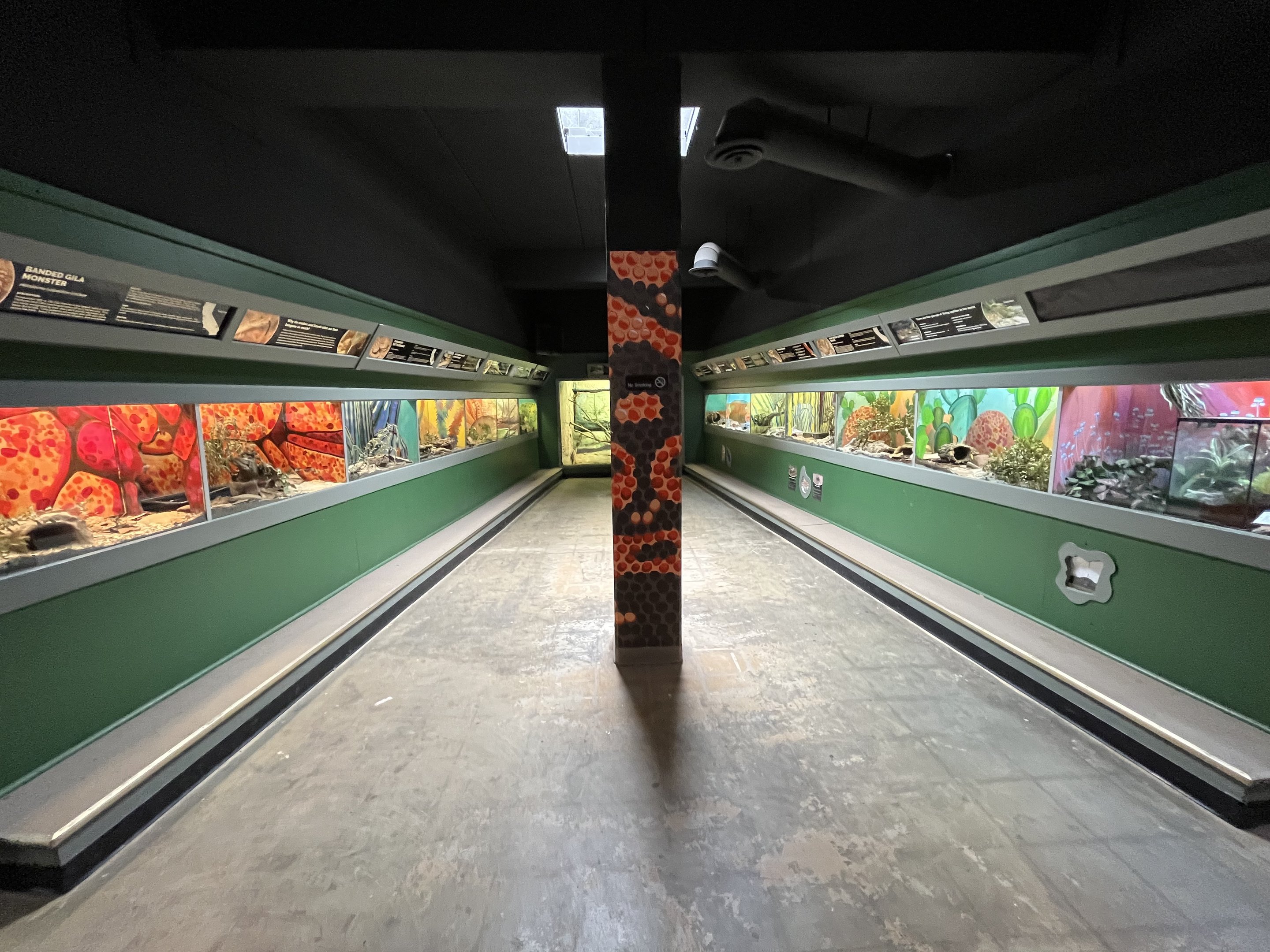 Reptile House - 1st Hallway