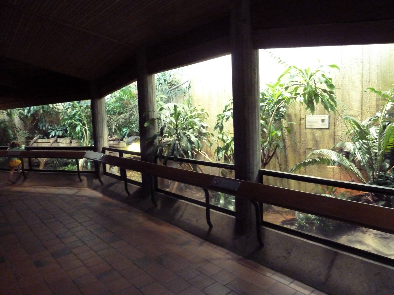 Reptile House - 2 Exhibits