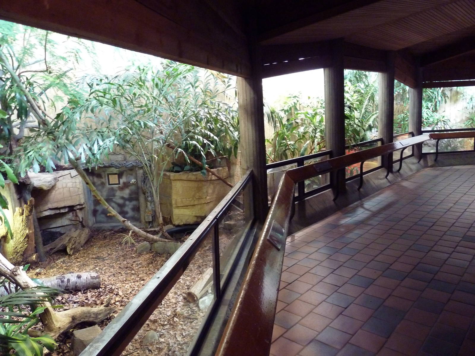 Reptile House - 2 Exhibits