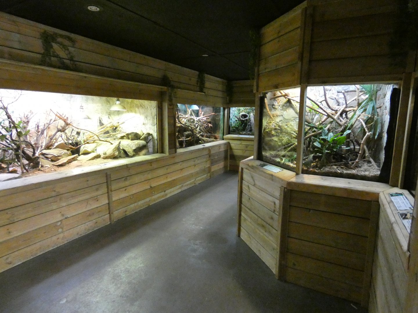 Reptile house (2)