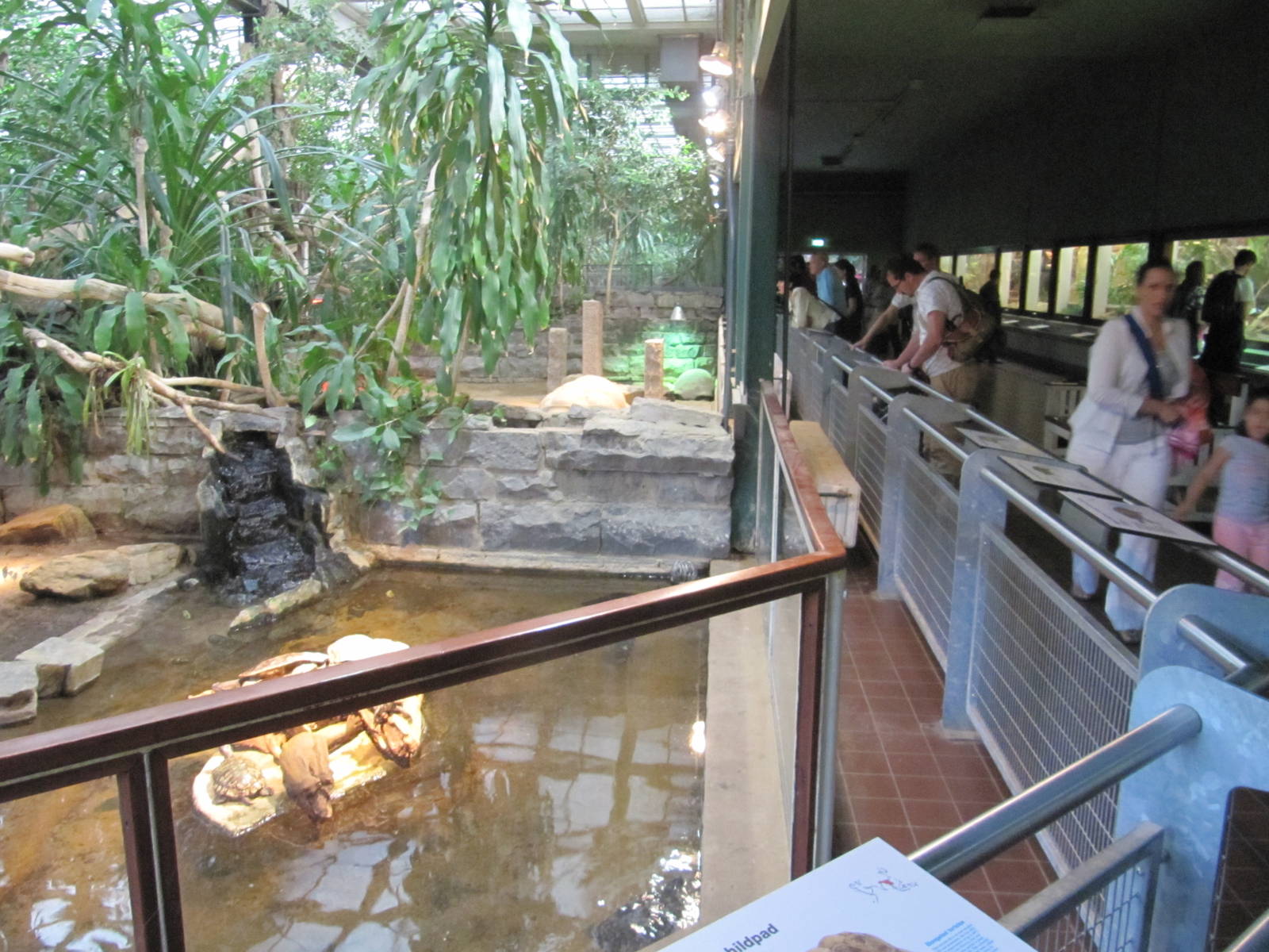 Reptile House 2010