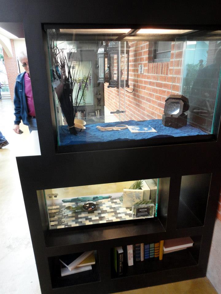 Reptile House 2012 - Bookshelf Exhibits