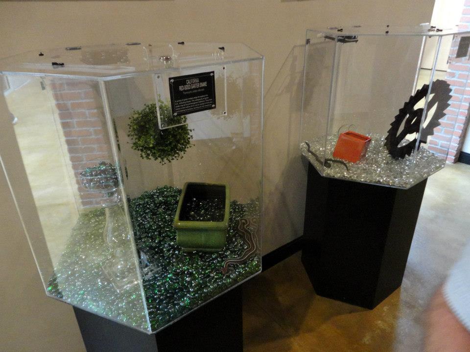 Reptile House 2012 - Snake Enclosures