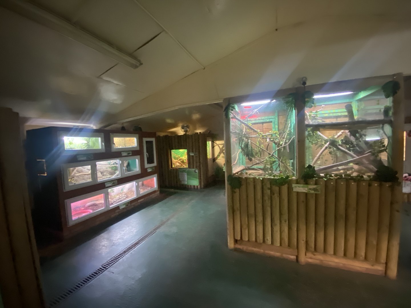 Reptile House 231022