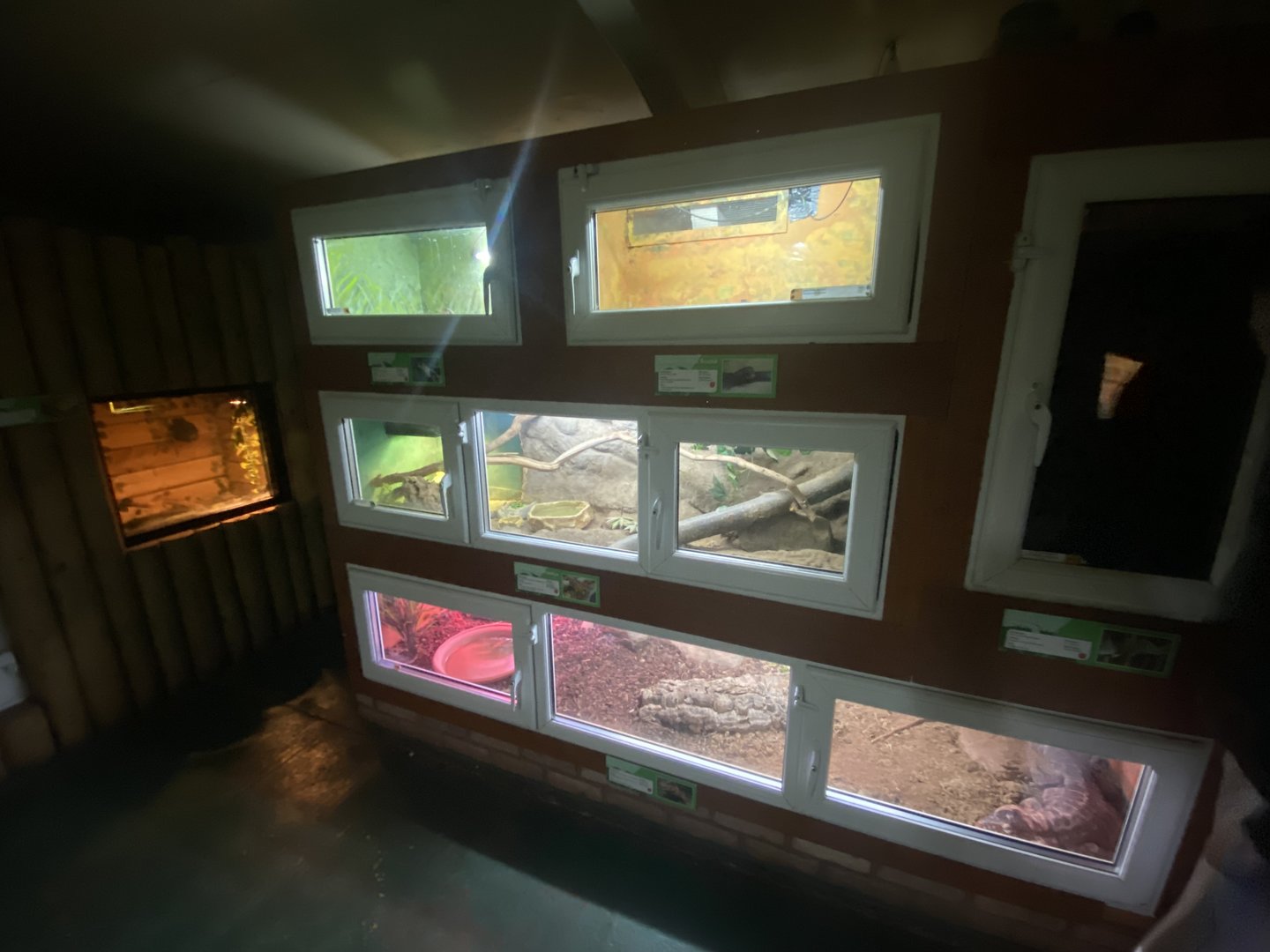 Reptile House 231022
