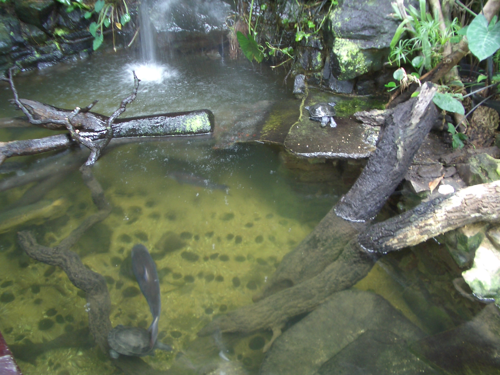 Reptile House - 24.07.2010