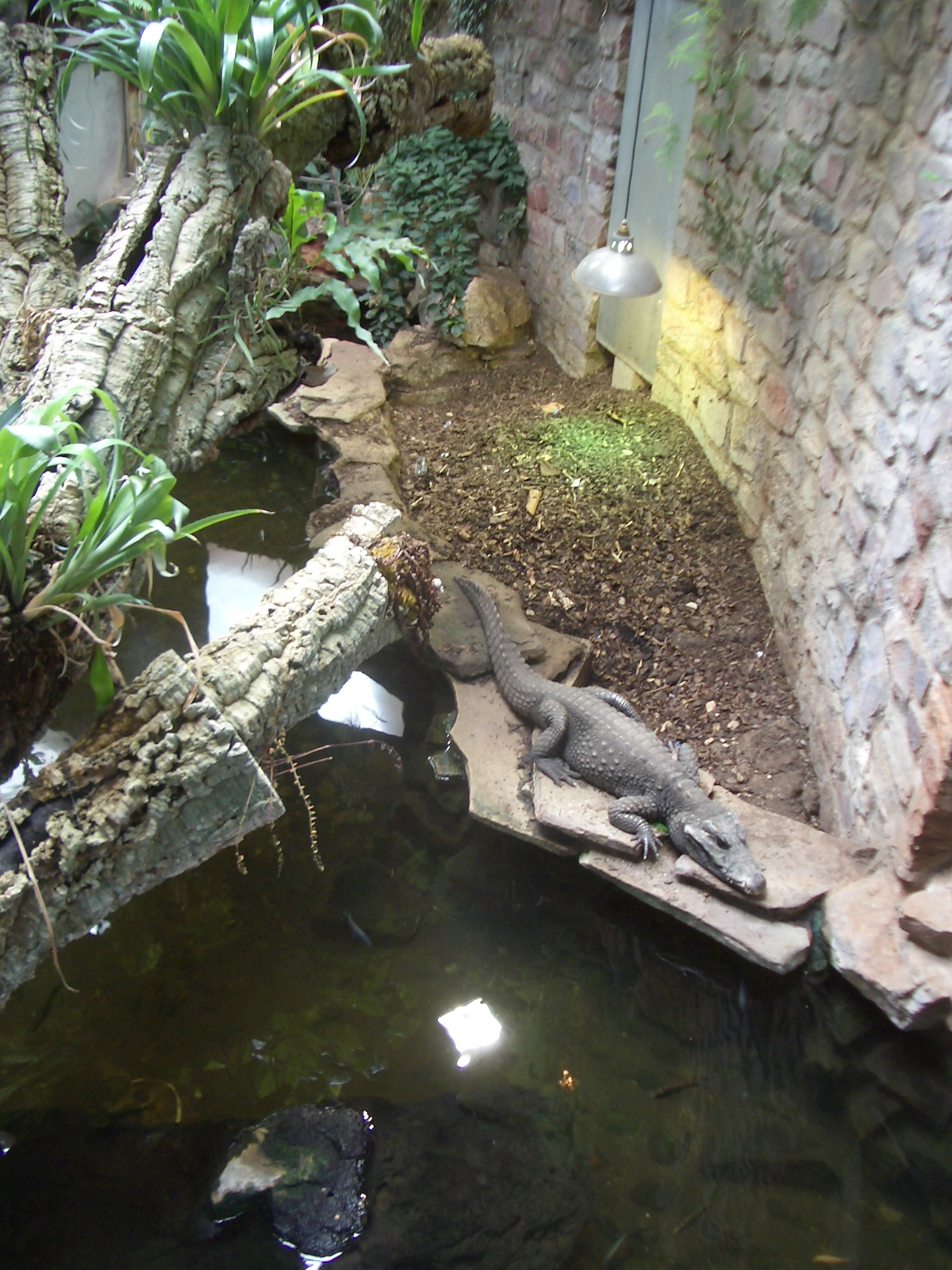 Reptile House - 24.07.2010
