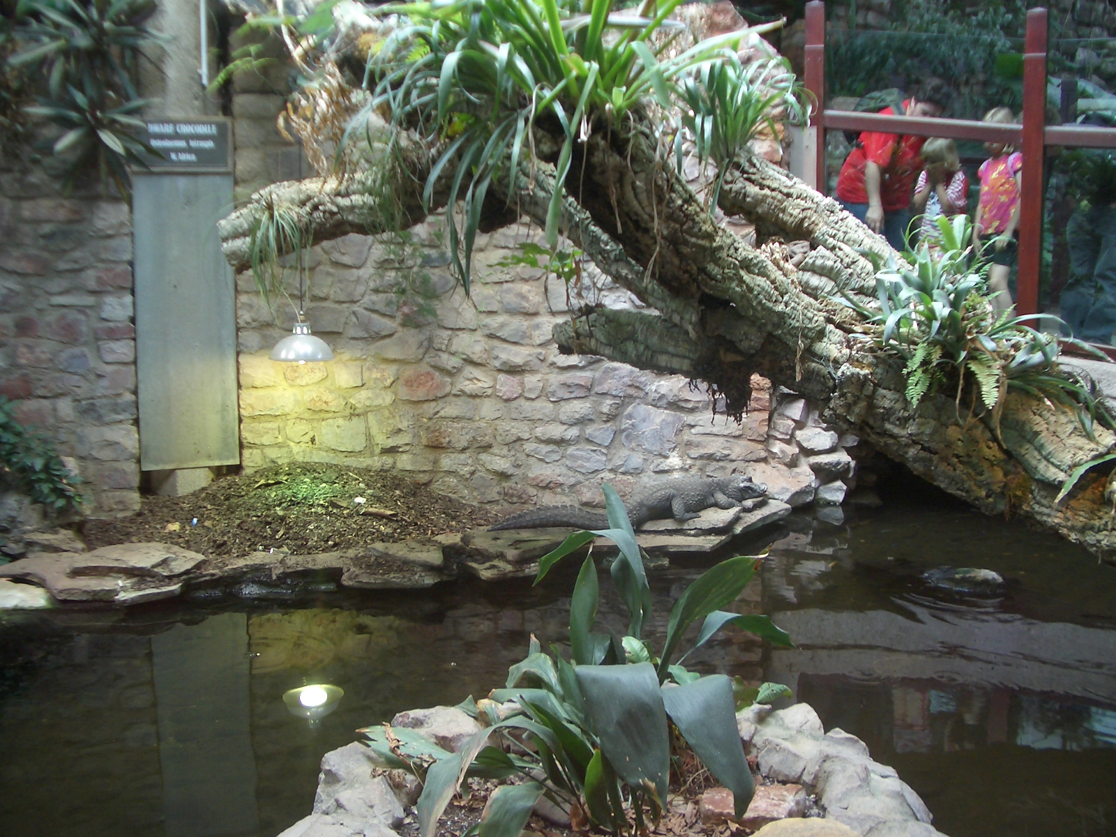 Reptile House - 24.07.2010