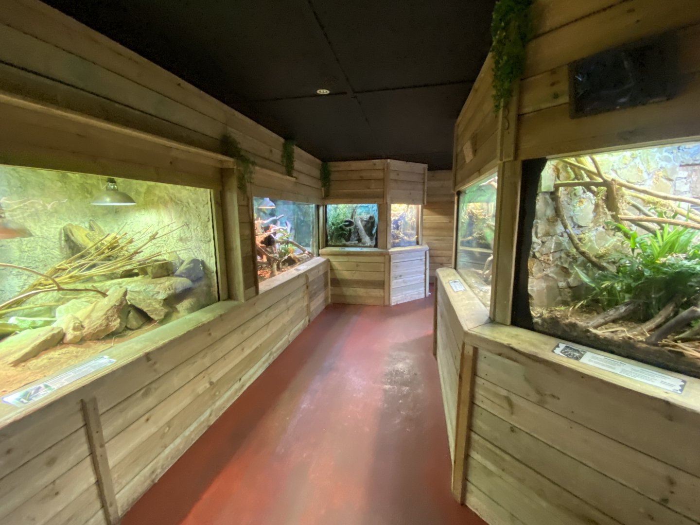 Reptile House 260124