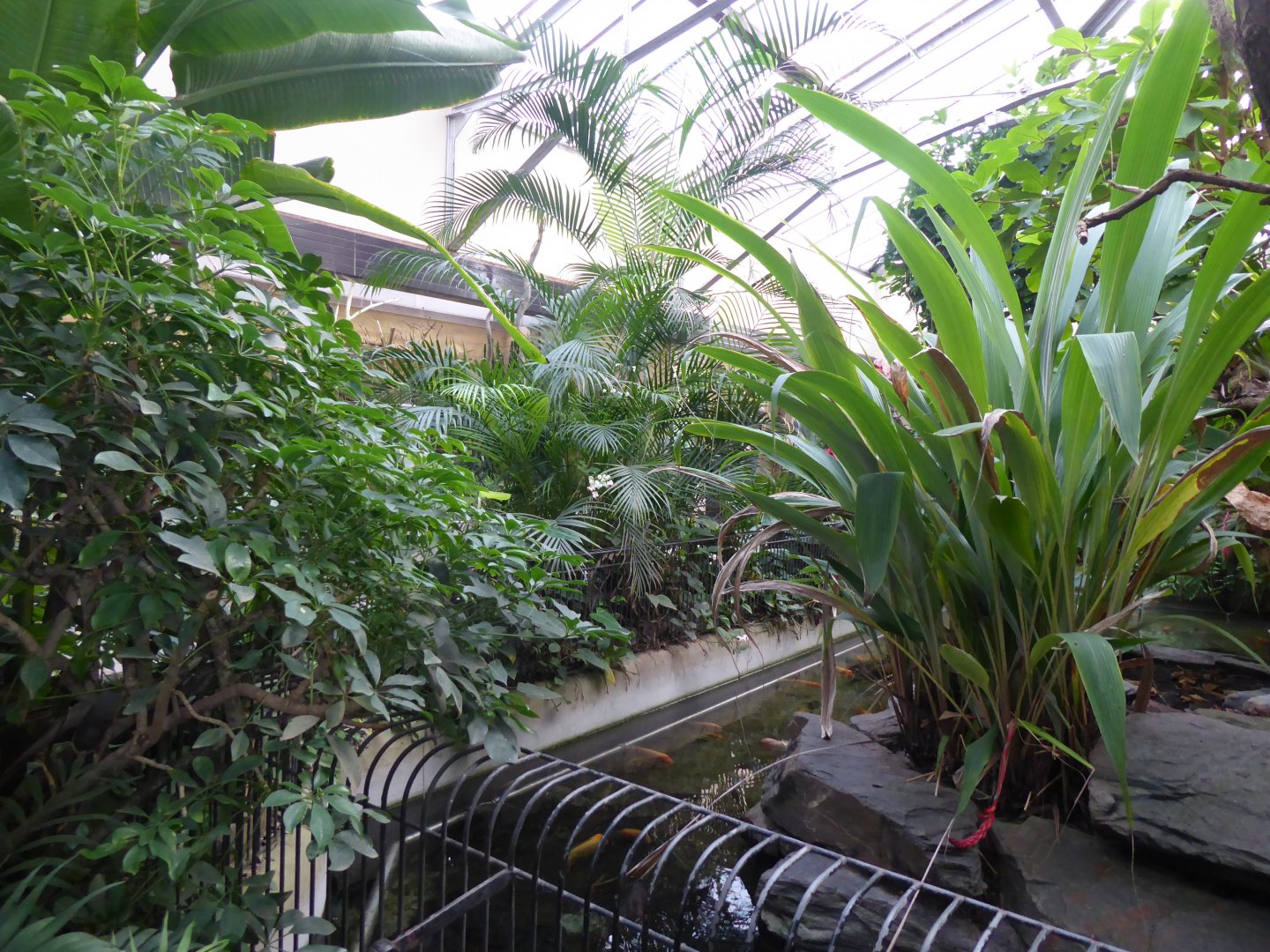 Reptile House 280118