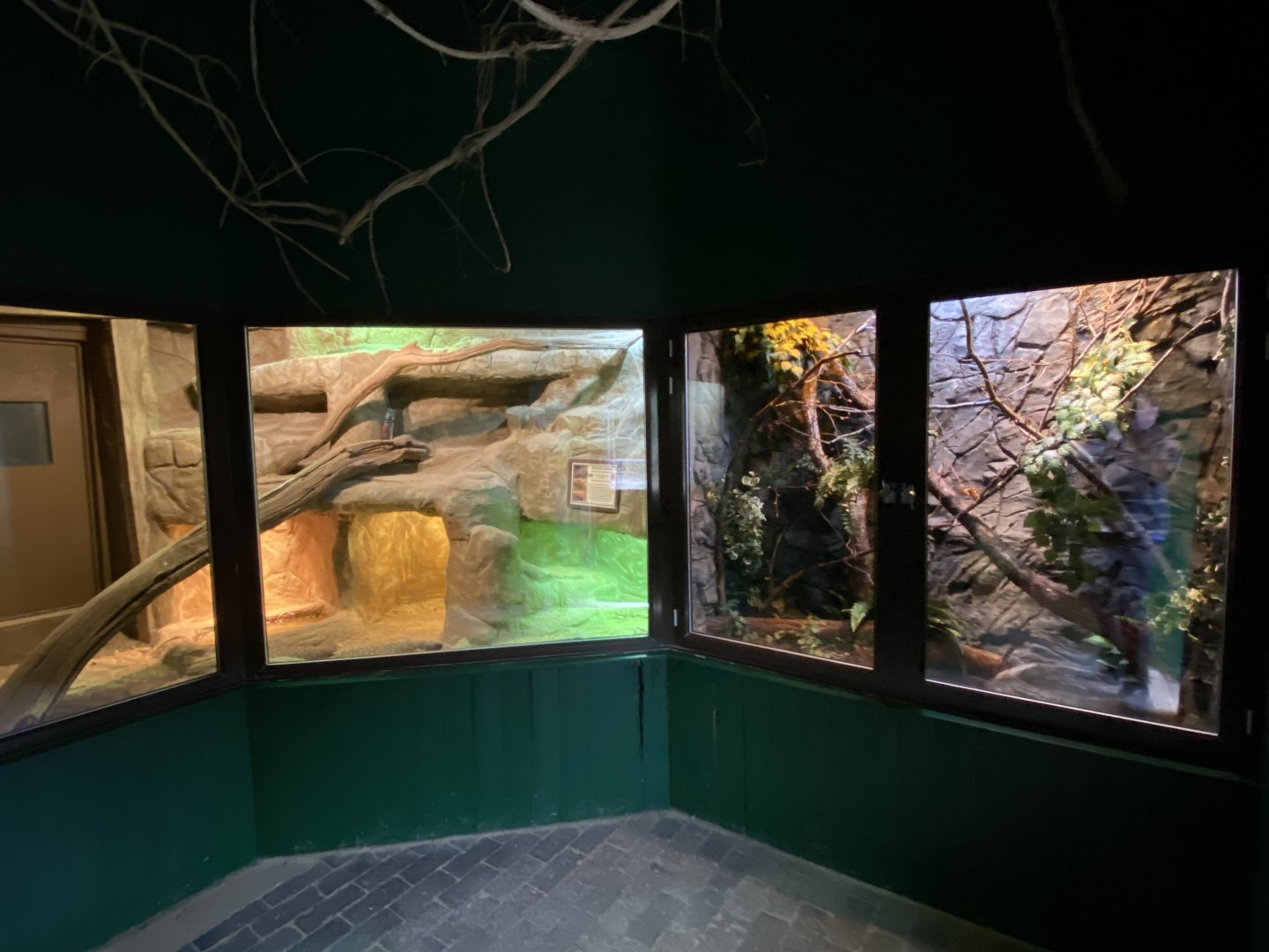 Reptile House 280222